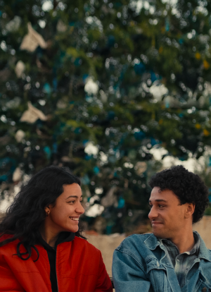 Template film site 7